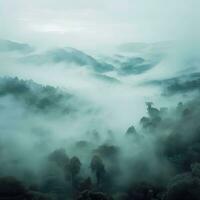 Fog over spruce forest trees in the early morning. Spruce trees silhouette on mountain hill forest in summer foggy scenery. Fog over the mountains Kanas morning fog. Generative AI photo