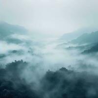 Fog over spruce forest trees in the early morning. Spruce trees silhouette on mountain hill forest in summer foggy scenery. Fog over the mountains Kanas morning fog. Generative AI photo
