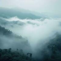 Fog over spruce forest trees in the early morning. Spruce trees silhouette on mountain hill forest in summer foggy scenery. Fog over the mountains Kanas morning fog. Generative AI photo