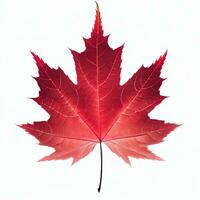 a red maple leaf with a white background and a white background Generative AI photo