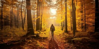 Tourists trekking amazing autumn forest in the morning sunlight. Red and yellow leaves on trees in the forest golden forest landscape photo
