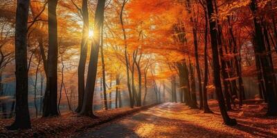 Tourists trekking amazing autumn forest in the morning sunlight. Red and yellow leaves on trees in the forest golden forest landscape photo