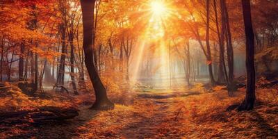 Tourists trekking amazing autumn forest in the morning sunlight. Red and yellow leaves on trees in the forest golden forest landscape photo