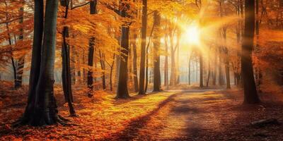 Tourists trekking amazing autumn forest in the morning sunlight. Red and yellow leaves on trees in the forest golden forest landscape photo