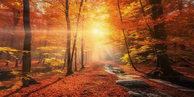 Tourists trekking amazing autumn forest in the morning sunlight. Red and yellow leaves on trees in the forest golden forest landscape photo