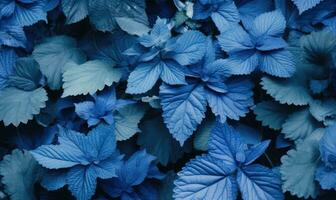 Leaves mint wallpaper. Blue plants surface banner. For postcard, book illustration,. Created with generative AI tools photo