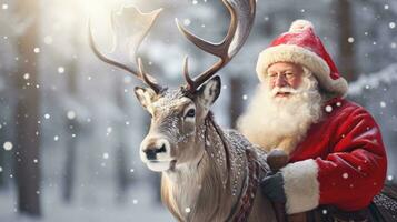 Santa Claus is near his reindeer in the snowy forest photo