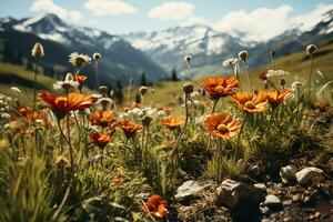 high alpine wildflowers. AI generative photo