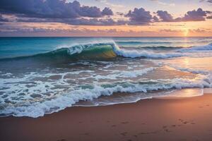 sunset at tropical beach and coconut tree photo