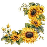 Beautiful Sunflower border photo