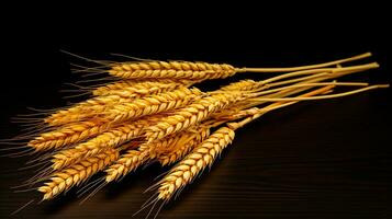 bunch of golden wheat on dark background generative AI photo