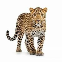 a leopard on white background background generative AI photo