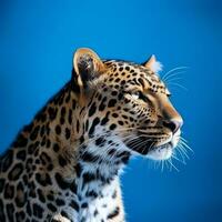 un leopardo en azul antecedentes generativo ai foto