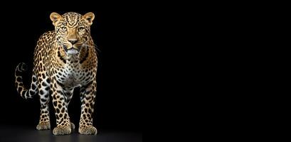 a leopard on black background background generative AI photo
