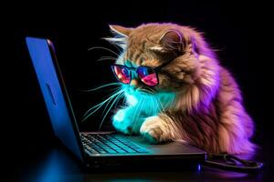 cat in sunglasses operating laptop on black background generative AI photo