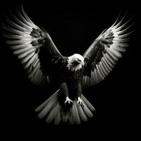 eagle on black background generative AI photo