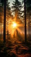 Majestic evergreen pine forest sunset view generative AI photo