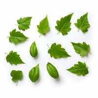 different types of leaves on white background generative AI photo