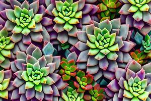 Succulents Background, AI Generative photo