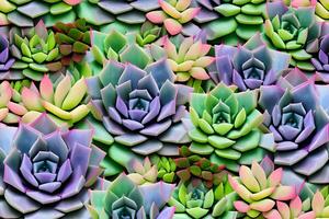 Succulents Background, AI Generative photo