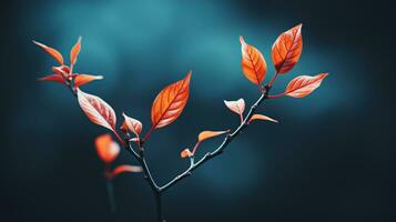 a branch with red leaves on it against a dark background generative ai photo