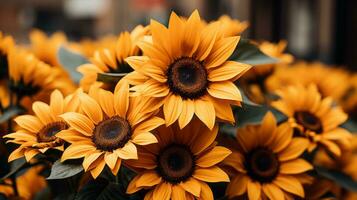 a bunch of sunflowers are shown in front of a building generative ai photo