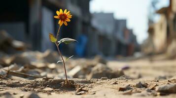 a lone sunflower growing out of the rubble of a destroyed building generative ai photo