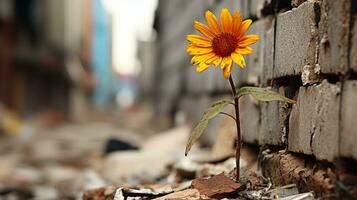 a lone sunflower growing out of a pile of rubble generative ai photo