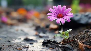 un rosado flor es creciente fuera de el suelo generativo ai foto