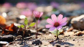 un rosado flor es creciente fuera de el suelo generativo ai foto