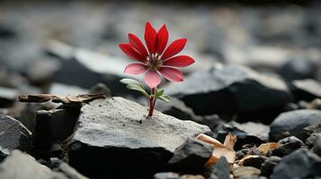 a red flower is growing out of a pile of rocks generative ai photo