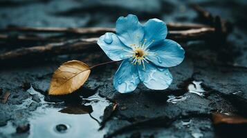 a single blue flower sits on the ground in a puddle of water generative ai photo