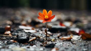 a single orange flower is growing out of the ground generative ai photo