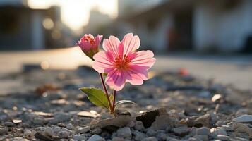 a single pink flower is growing out of the ground generative ai photo