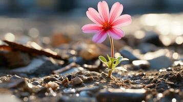 un soltero rosado flor es creciente fuera de el suelo generativo ai foto