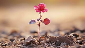 a single pink rose is growing out of the ground generative ai photo