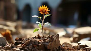 a single sunflower growing out of a pile of dirt generative ai photo