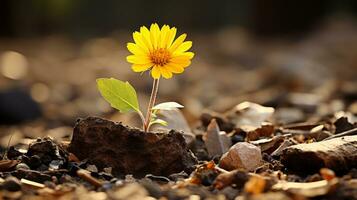 a single yellow flower is growing out of a hole in the ground generative ai photo