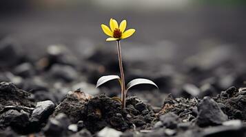 a single yellow flower is growing out of the ground generative ai photo