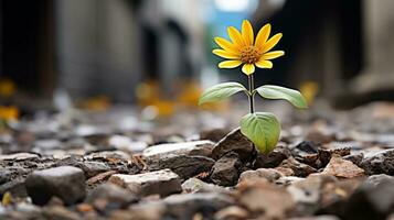 a single yellow flower is growing out of the ground generative ai photo