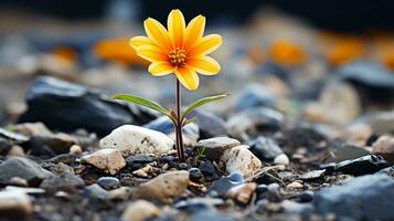 un soltero amarillo flor es creciente fuera de el suelo generativo ai foto