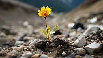 a single yellow flower is growing out of the ground generative ai photo