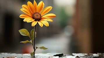 a single yellow flower sits on top of a brick wall generative ai photo