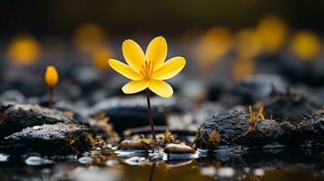 un soltero amarillo flor es en pie en el agua generativo ai foto