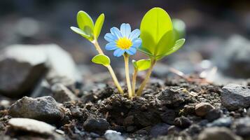 a small blue flower growing out of the ground generative ai photo