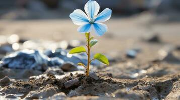 un pequeño azul flor es creciente fuera de el suelo generativo ai foto