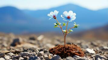 a small blue flower sprouting from the ground in front of a mountain range generative ai photo