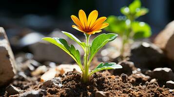 un pequeño naranja flor es creciente fuera de el suelo generativo ai foto