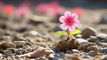 a small pink flower is growing out of the ground generative ai photo