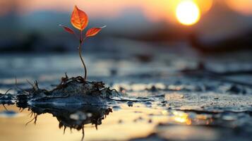 a small plant is growing in the mud at sunset generative ai photo